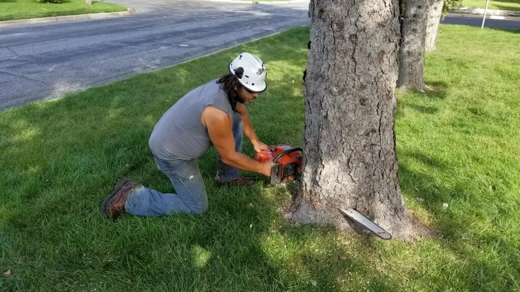 cutting tree with chain saw - Blaine Tree Removal