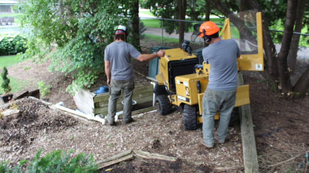 stump removal and stump grinding minneapolis, plymouth