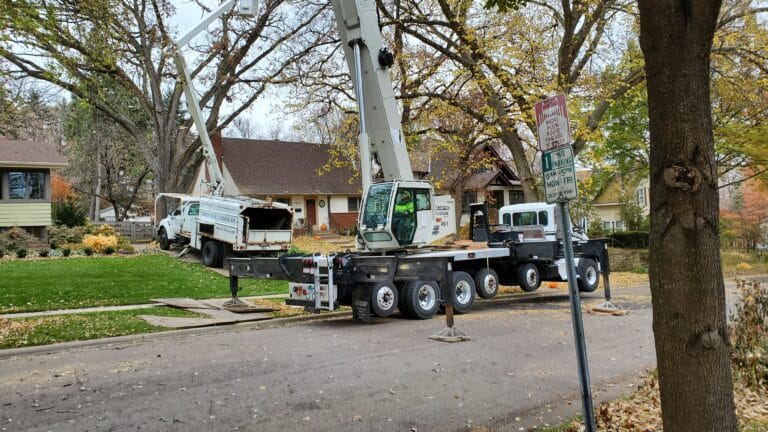 tree removal with crane assisted