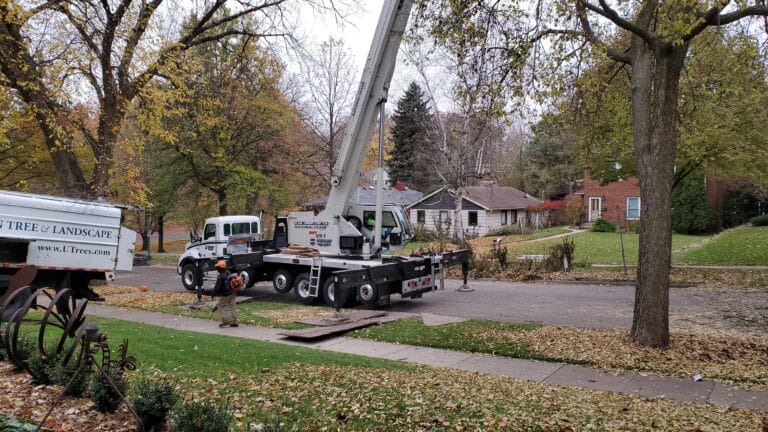 emergency tree removal with crane assisted