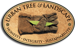 urban tree logo