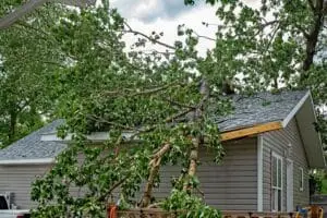 A large tree with green leaves fallen on a residential rooftop during a summer storm. Emergency Tree Service