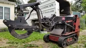 fall tree care with tree tools