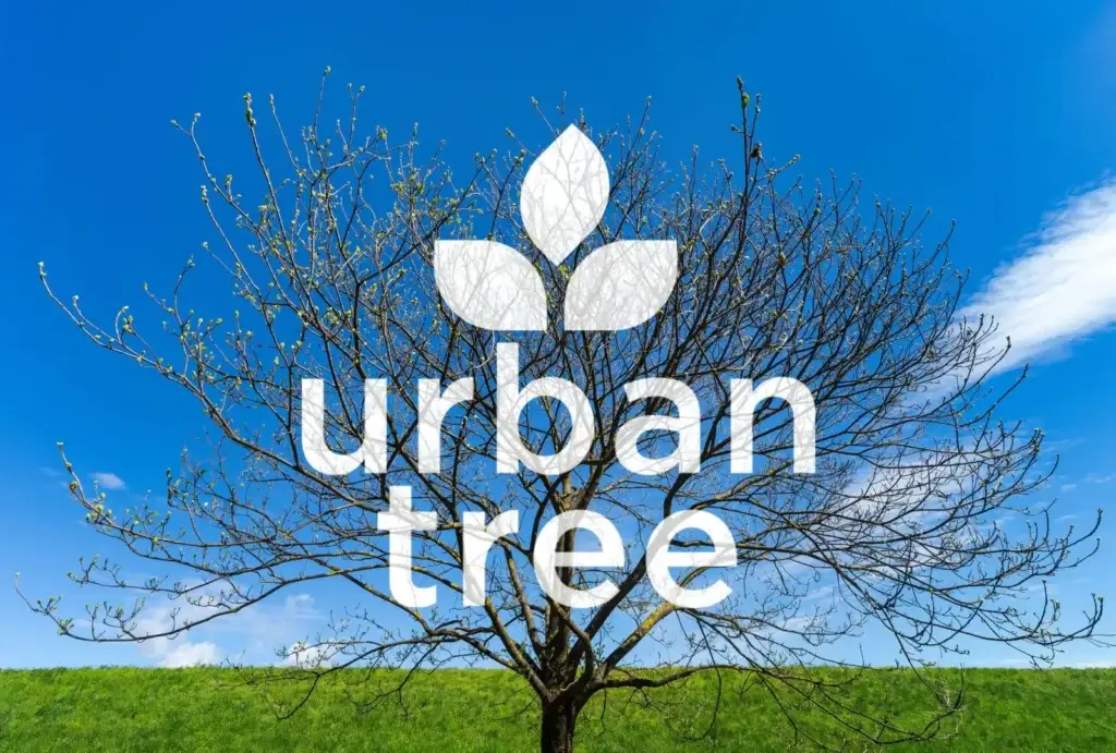 Maple Grove Tree Care, Spring is Almost Here