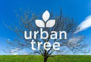 Maple Grove Tree Care, Spring is Almost Here