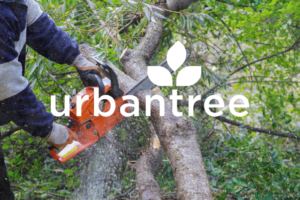 Arborist using a chainsaw to safely cut down a large tree branch as part of professional tree pruning services – UrbanTree logo overlayed
