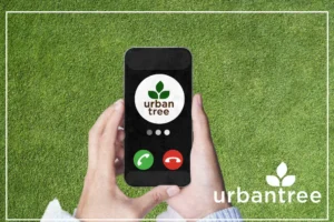 Hands holding a smartphone displaying the "urbantree" logo and call options against a blurred green background, suggesting contacting a tree service company in Minnesota.
