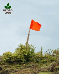 Don't ignore the red flags when hiring tree services in Minneapolis. Urbantree (logo top left) offers certified and insured arborists for your peace of mind