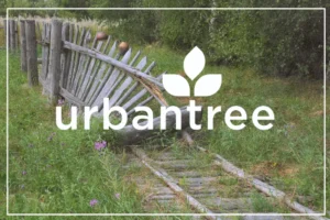 A broken wooden fence is partially collapsed into overgrown grass with visible old wooden tracks on the ground. The Urbantree logo is overlaid, indicating a professional tree service in Minneapolis that actively prevents this type of property damage during tree removal or maintenance.