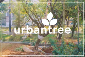 Urbantree's arborists are removing a tree, likely in an urban setting, with the company's logo and name 'urbantree' overlaid.