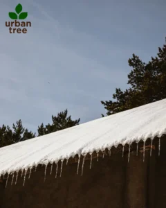 Water damage caused by ice dam roof leakage