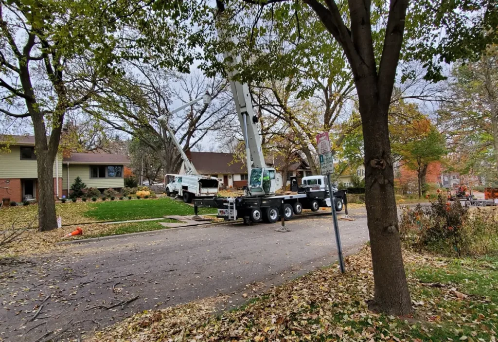 Tree Crane Removal