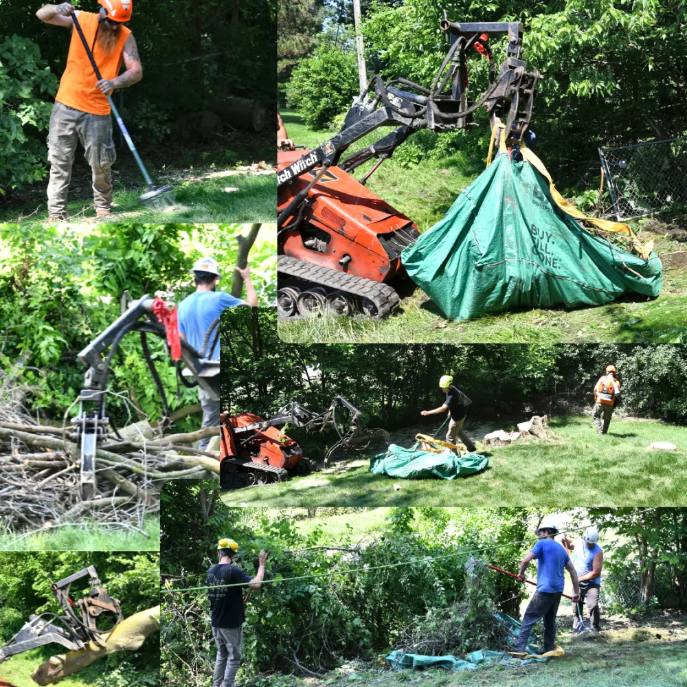 Urban Tree crew clearing brush and cleaning up a tree service job site in Maple Grove, MN