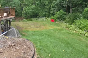 Raked clean and open again, Plymouth