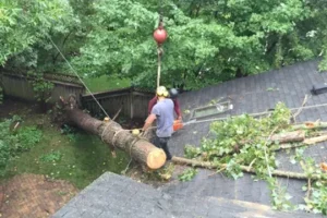 crane tree removal Maple Grove MN, boom truck lifting a section over a house
