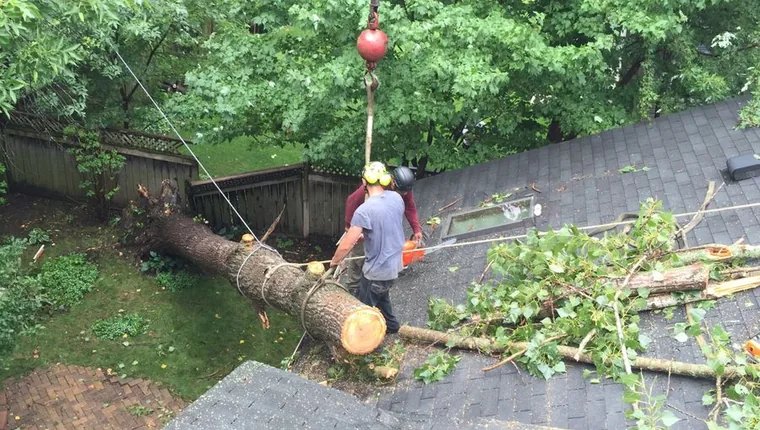 crane tree removal Twin Cities MN, a large trunk section held on the crane line clear of a roof