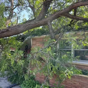 emergency tree removal Minneapolis MN, a storm-damaged tree resting on a house roof