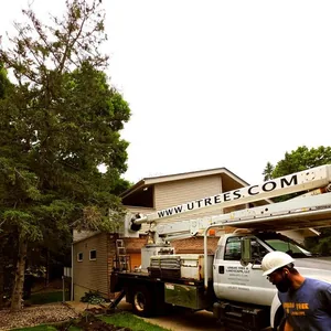 standard tree removal Twin Cities MN, Urban Tree bucket truck working a large conifer with open access