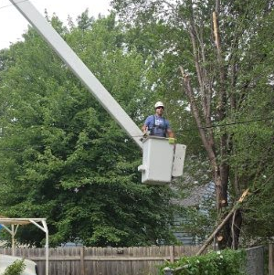 Urban Tree clearing a tree along a back fence and alley in Brooklyn Center MN