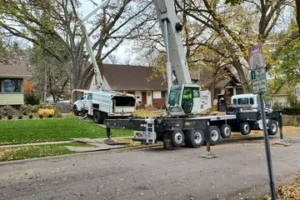tree removal Maple Grove MN, Urban Tree crew sectioning a large tree