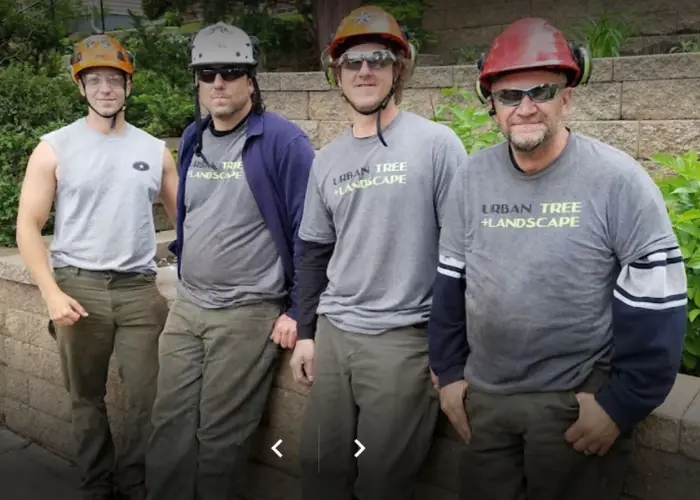 Four of the tree service arborists from Urban Tree of Minneapolis, MN