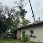 Large leafy canopy section hanging from a crane beside a Blaine home during crane tree removal