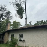 Crane holding a cut green ash limb above the roofline during tree removal at a Blaine home