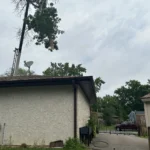 Rigged crown section suspended over a Blaine side yard during crane tree removal beside a home