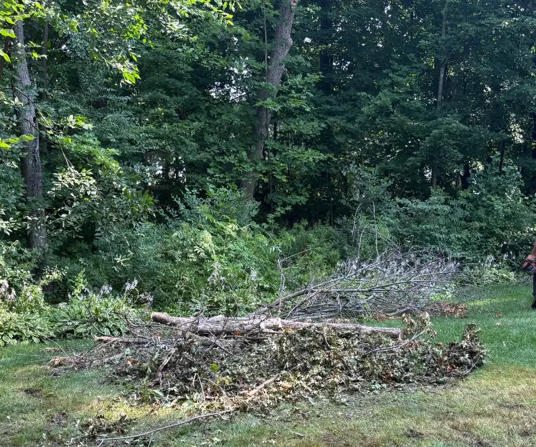 Emerald ash borer removal Plymouth MN, the Urban Tree crew working a brush pile down at the end of an ash removal