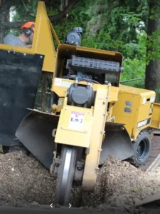 Urban Tree operator in helmet and hearing protection running a stump grinder behind a debris shield, grindings piled around the cut