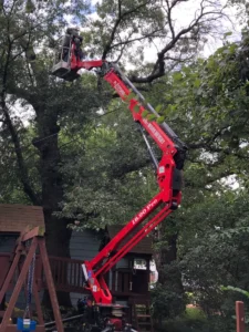 Compact tracked spider lift raised into a mature backyard tree for pruning, positioned beside a play set without driving across the lawn